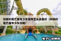 妖精的尾巴魔导少年宠物怎么买最好（妖精的尾巴魔导少年攻略）