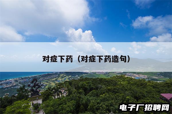 对症下药（对症下药造句）