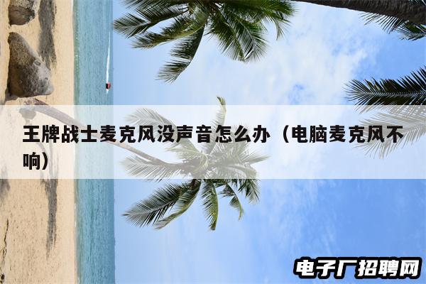 王牌战士麦克风没声音怎么办（电脑麦克风不响）