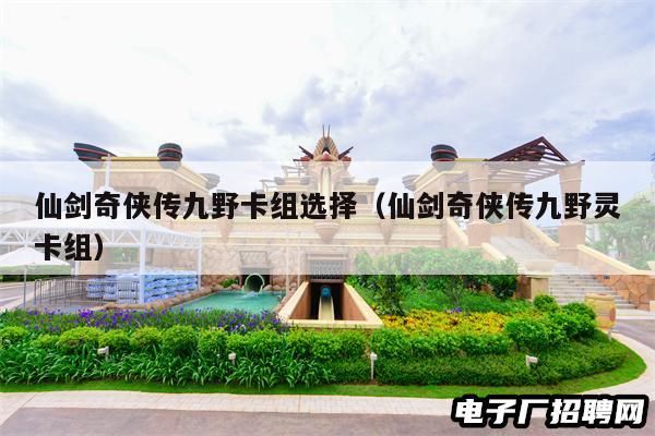 仙剑奇侠传九野卡组选择（仙剑奇侠传九野灵卡组）