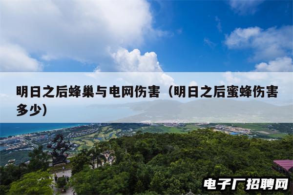 明日之后蜂巢与电网伤害（明日之后蜜蜂伤害多少）