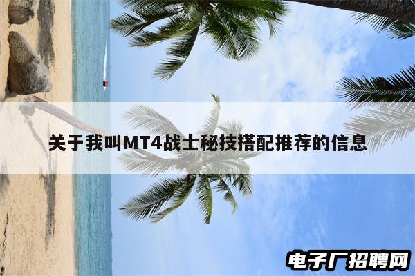 关于我叫MT4战士秘技搭配推荐的信息
