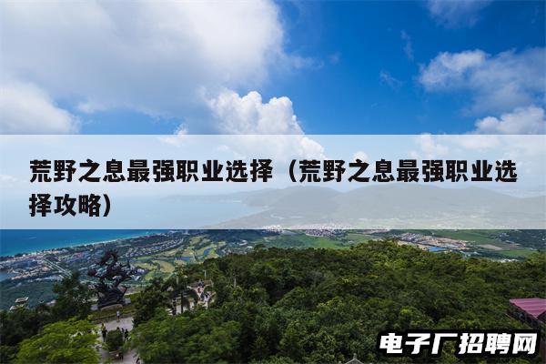 荒野之息最强职业选择（荒野之息最强职业选择攻略）