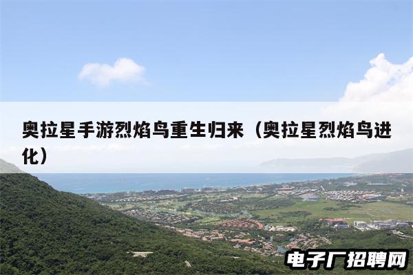奥拉星手游烈焰鸟重生归来（奥拉星烈焰鸟进化）