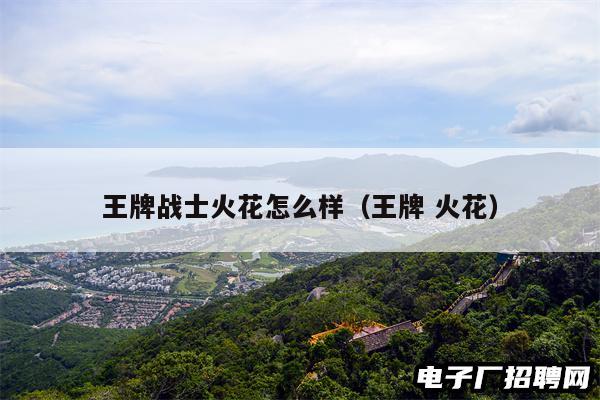 王牌战士火花怎么样（王牌 火花）