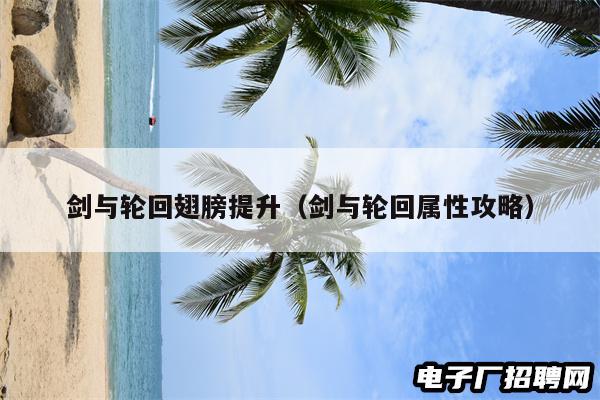 剑与轮回翅膀提升（剑与轮回属性攻略）