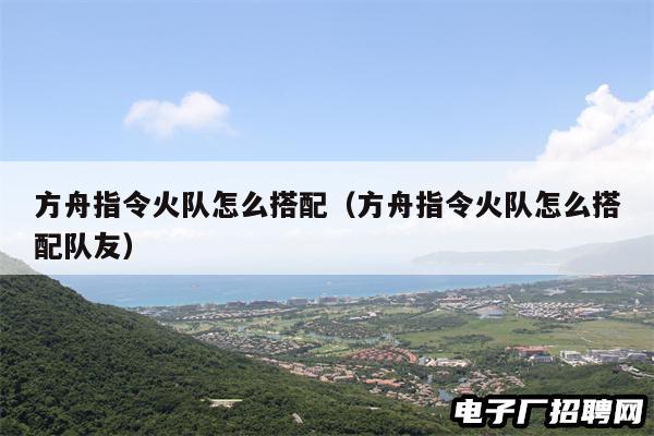 方舟指令火队怎么搭配（方舟指令火队怎么搭配队友）