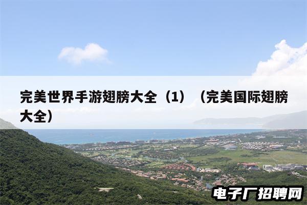 完美世界手游翅膀大全（1）（完美国际翅膀大全）