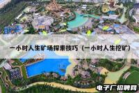 一小时人生矿场探索技巧（一小时人生挖矿）