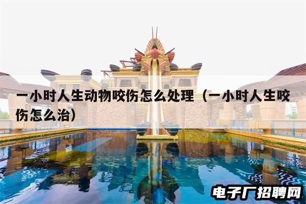 一小时人生动物咬伤怎么处理(一小时人生咬伤怎么治) 一小时人生动物咬伤怎么处理(一小时人生咬伤怎么治)