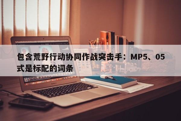 包含荒野行动协同作战突击手：MP5、05式是标配的词条