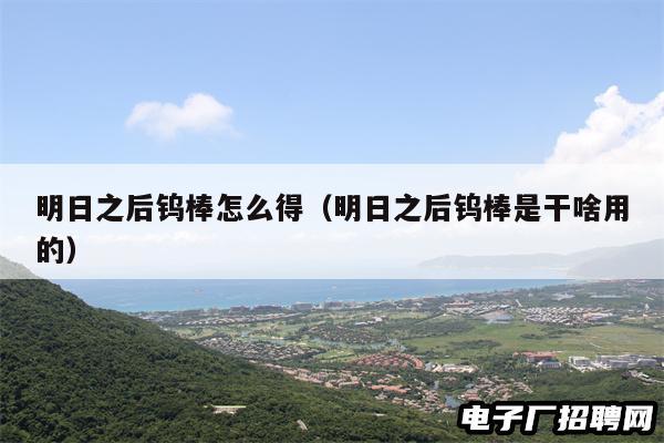 明日之后钨棒怎么得（明日之后钨棒是干啥用的）