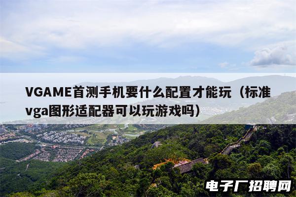 VGAME首测手机要什么配置才能玩（标准vga图形适配器可以玩游戏吗）