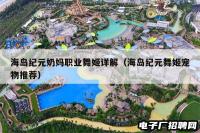 海岛纪元奶妈职业舞姬详解（海岛纪元舞姬宠物推荐）