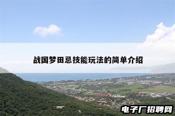 战国梦田忌技能玩法的简单介绍