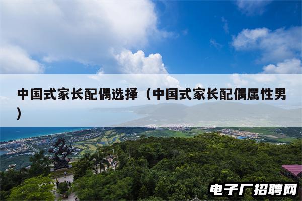 中国式家长配偶选择（中国式家长配偶属性男）