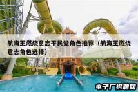 航海王燃烧意志平民党角色推荐（航海王燃烧意志角色选择）