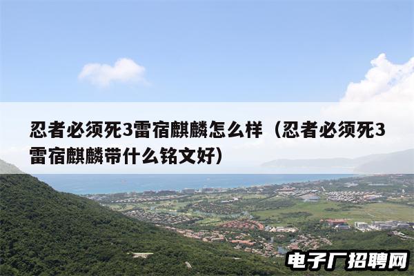 忍者必须死3雷宿麒麟怎么样（忍者必须死3雷宿麒麟带什么铭文好）