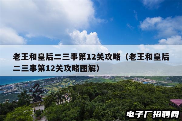 老王和皇后二三事第12关攻略（老王和皇后二三事第12关攻略图解）