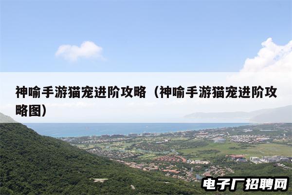 神喻手游猫宠进阶攻略（神喻手游猫宠进阶攻略图）