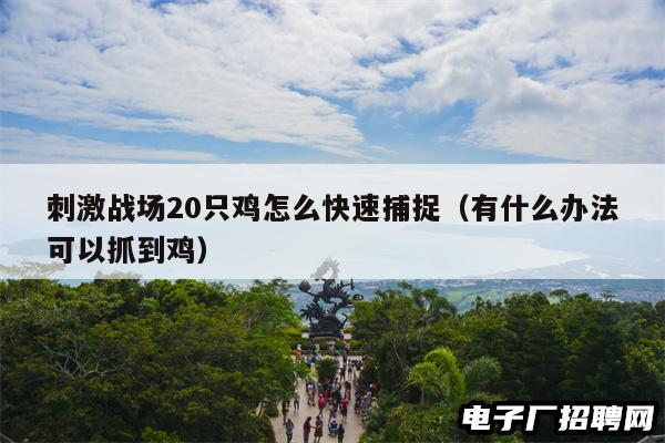 刺激战场20只鸡怎么快速捕捉（有什么办法可以抓到鸡）