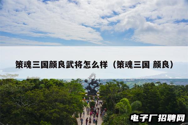 策魂三国颜良武将怎么样（策魂三国 颜良）