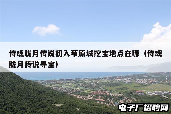 侍魂胧月传说初入苇原城挖宝地点在哪（侍魂胧月传说寻宝）