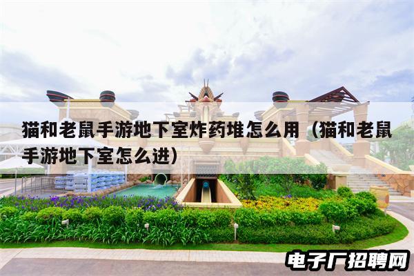 猫和老鼠手游地下室炸药堆怎么用（猫和老鼠手游地下室怎么进）