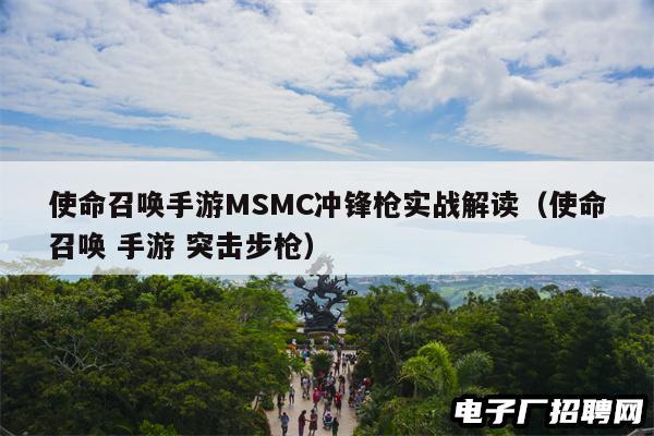 使命召唤手游MSMC冲锋枪实战解读（使命召唤 手游 突击步枪）