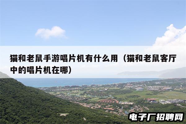 猫和老鼠手游唱片机有什么用（猫和老鼠客厅中的唱片机在哪）