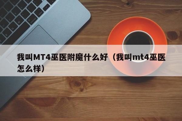 我叫MT4巫医附魔什么好（我叫mt4巫医怎么样）