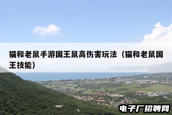 猫和老鼠手游国王鼠高伤害玩法(猫和老鼠国王技能) 猫和老鼠手游国王鼠高伤害玩法(猫和老鼠国王技能)