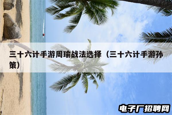 三十六计手游周瑜战法选择（三十六计手游孙策）