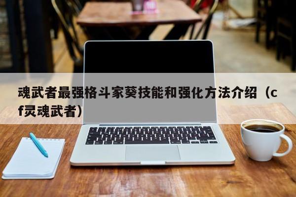 魂武者最强格斗家葵技能和强化方法介绍(cf灵魂武者) 魂武者最强格斗家葵技能和强化方法介绍(cf灵魂武者)