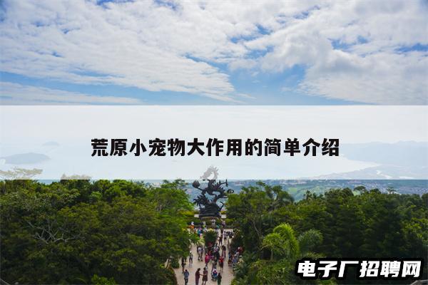 荒原小宠物大作用的简单介绍