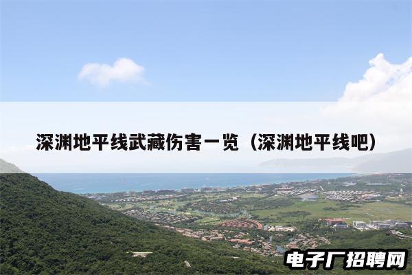 深渊地平线武藏伤害一览（深渊地平线吧）