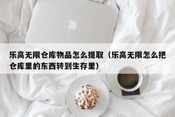 乐高无限仓库物品怎么提取（乐高无限怎么把仓库里的东西转到生存里）