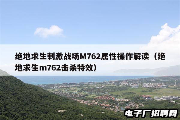 绝地求生刺激战场M762属性操作解读(绝地求生m762击杀特效) 绝地求生刺激战场M762属性操作解读(绝地求生m762击杀特效)