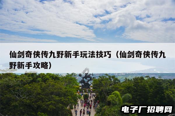 仙剑奇侠传九野新手玩法技巧（仙剑奇侠传九野新手攻略）