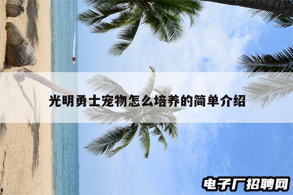 光明勇士宠物怎么培养的简单介绍