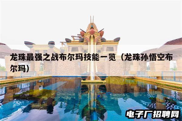 龙珠最强之战布尔玛技能一览（龙珠孙悟空布尔玛）