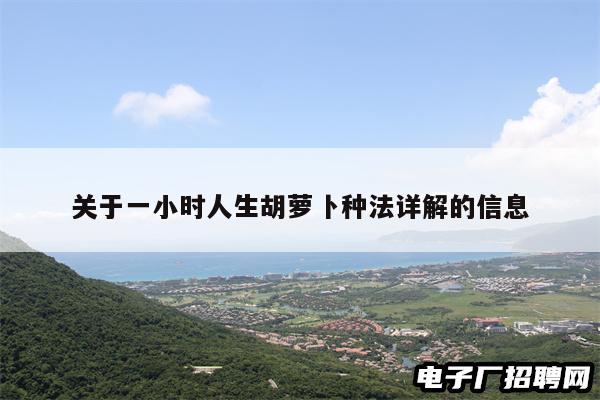 关于一小时人生胡萝卜种法详解的信息