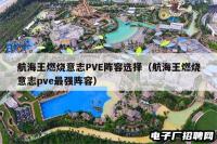 航海王燃烧意志PVE阵容选择（航海王燃烧意志pve最强阵容）