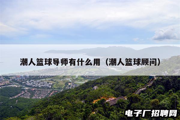 潮人篮球导师有什么用（潮人篮球顾问）