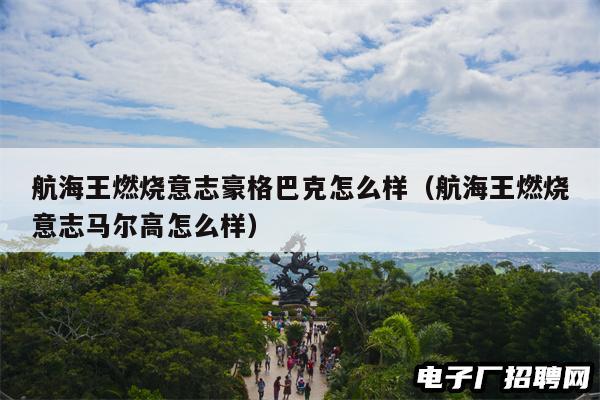 航海王燃烧意志豪格巴克怎么样（航海王燃烧意志马尔高怎么样）