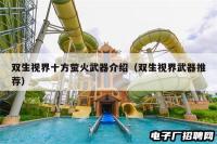 双生视界十方萤火武器介绍（双生视界武器推荐）