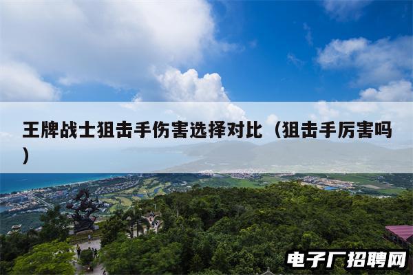 王牌战士狙击手伤害选择对比（狙击手厉害吗）