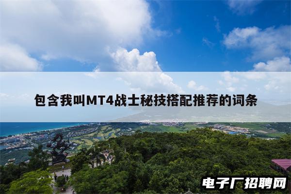 包含我叫MT4战士秘技搭配推荐的词条