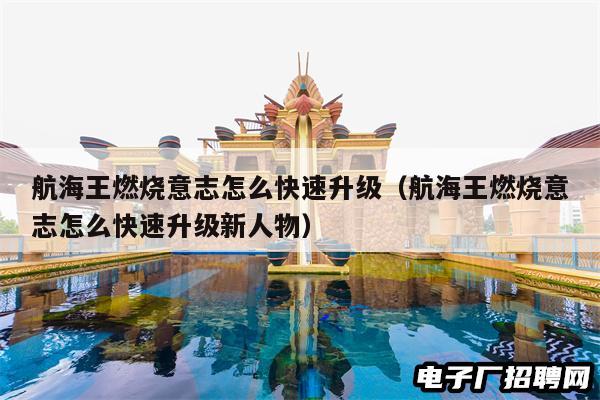 航海王燃烧意志怎么快速升级（航海王燃烧意志怎么快速升级新人物）