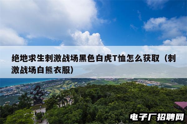 绝地求生刺激战场黑色白虎T恤怎么获取（刺激战场白熊衣服）